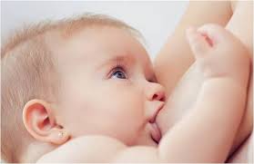 Curso De Amamentação