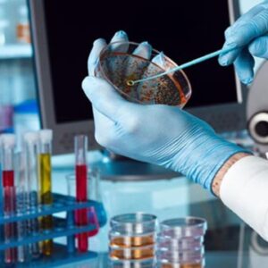 Curso Introdução à Biotecnologia