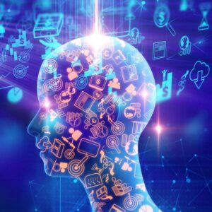 Curso Fundamentos da Neurociência