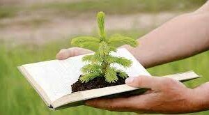 Curso De Educação Ambiental