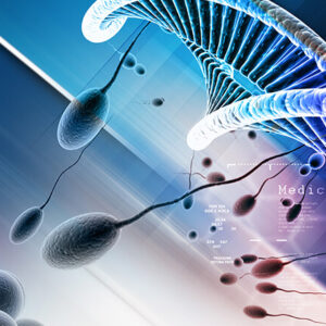 Curso Histologia e Embriologia