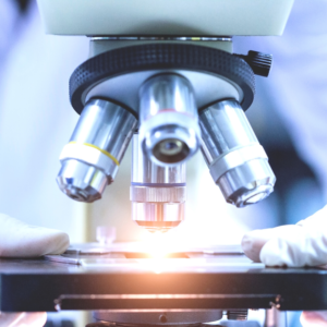 Curso Básico de Microscopia