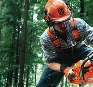 Curso de NR 12 Básico – Segurança no Trabalho em Motosserras