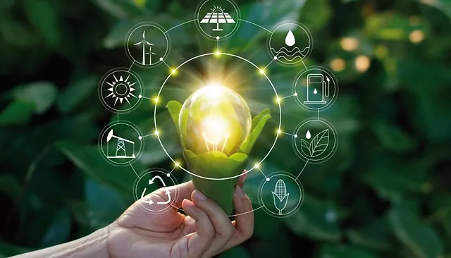 Curso Gestão Ambiental