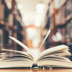 Curso Introdução à Biblioteconomia