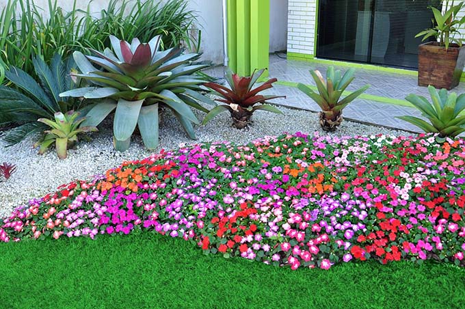 Curso Paisagismo e Plantas Ornamentais