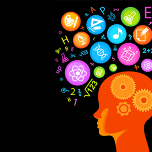 Curso Introdução à Neuropsicopedagogia