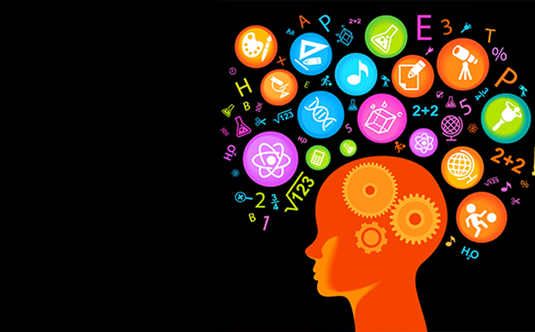 Curso Introdução à Neuropsicopedagogia